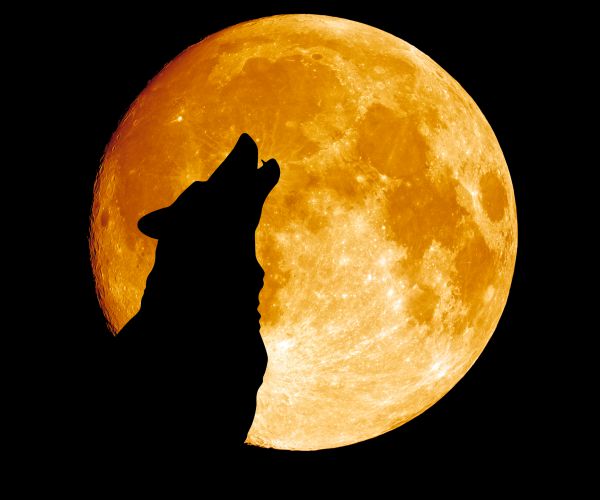 Look out for a Wolf Moon over Manchester this New Year - About Manchester