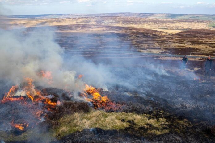 Grouse moor owners have continued to set fire to some of the UK’s most protected nature sites despite a government ban to protect peatlands