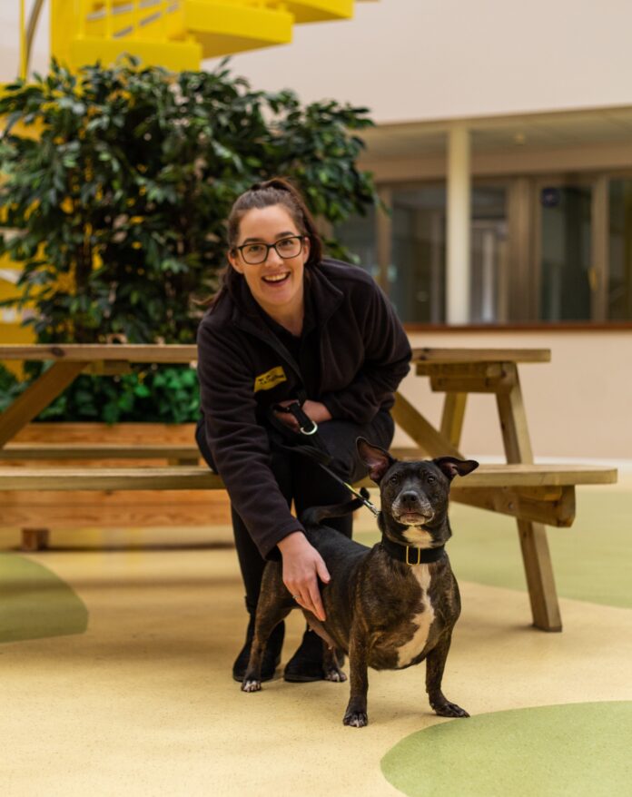 Dogs Trust Manchester is offering dog-lovers the chance to find out just what it takes to look after hundreds of dogs in need of new homes