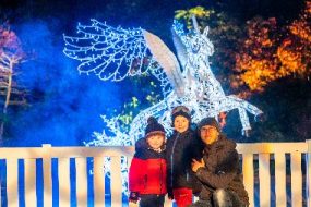 knowsley safari park christmas electric jungle