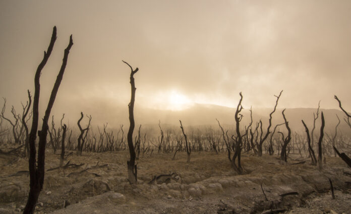 earth_is_becoming_thirstier_which_is_making_droughts_more_extreme_say_climate_experts