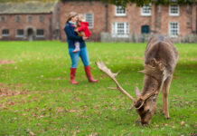 October half term with the National Trust in the North West