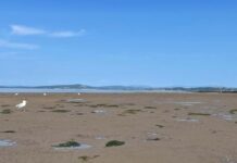 Audio play tunes in to capture the ‘Ebbs and Flows’ of Morecambe Bay