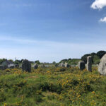 European farming practices drove not reduced biodiversity