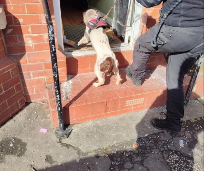 Dog warrant Moss Side