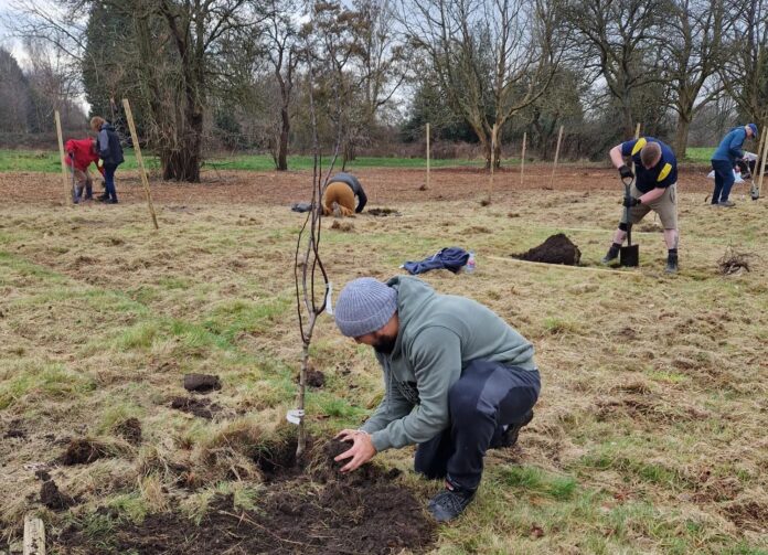 William Wroe Meadows planting 5