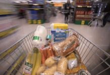 Food prices won’t come back down – new analysis suggests shocks drive up food prices indefinitely