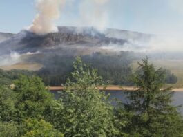 20 year old woman from Hyde charged with Dovestone’s arson