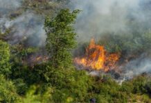 Sixth Day as Firefighters battle Moorland Fires