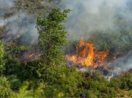 Sixth Day as Firefighters battle Moorland Fires
