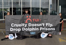 “Chained Orcas” Confront TUI at Manchester Airport